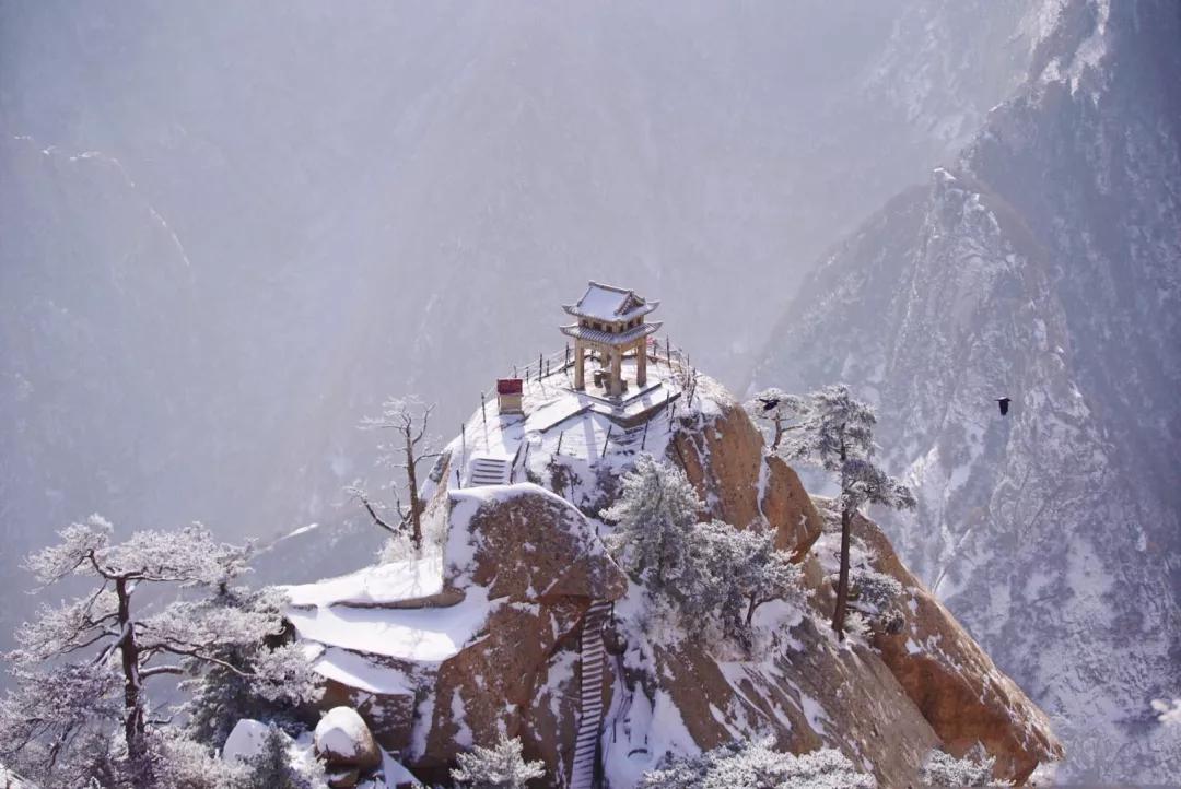 华山雾凇奇观在哪里,爬山看雾凇去哪最好