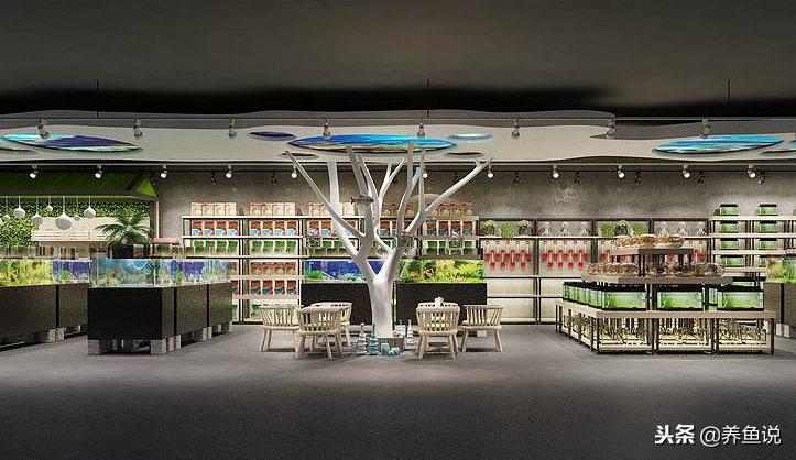 买观赏鱼应该去什么地方,买观赏鱼去哪个地方