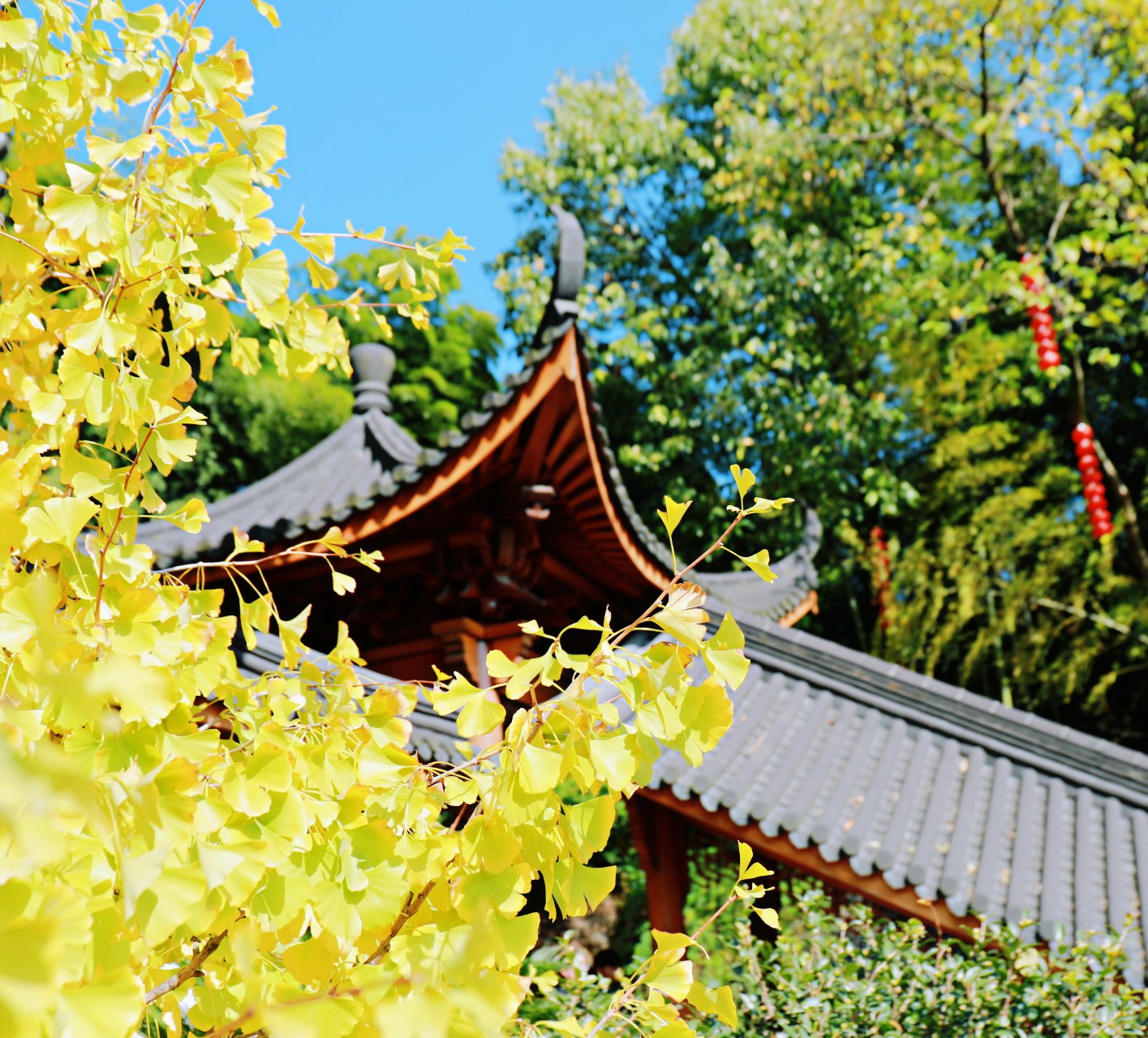 杭州灵隐寺值得去不,杭州最值得去的寺庙
