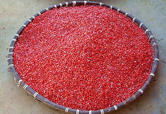 三七种植条件和技术要点视频,三七的种植技术及亩产效益