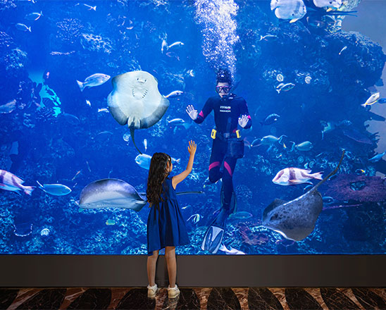 珠海长隆酒店排行榜,珠海长隆度假区三个酒店哪个好