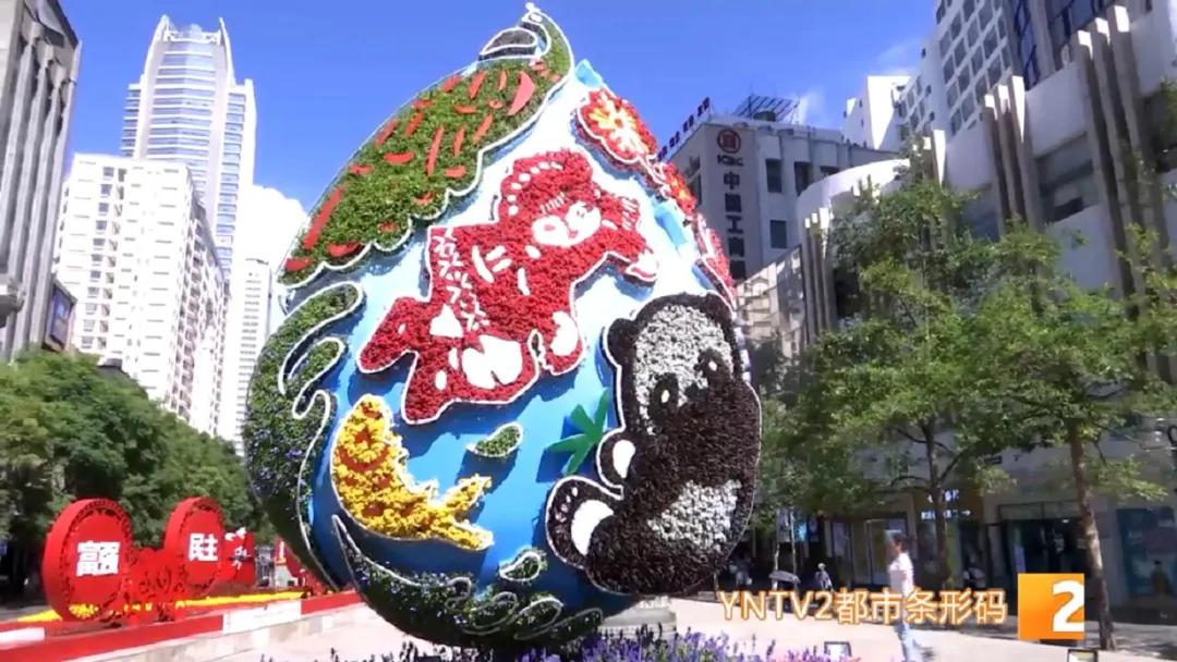 昆明100个立体花坛位置,昆明cop15立体花坛