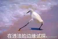 从柬埔寨陆路回国,从柬埔寨去老挝回国