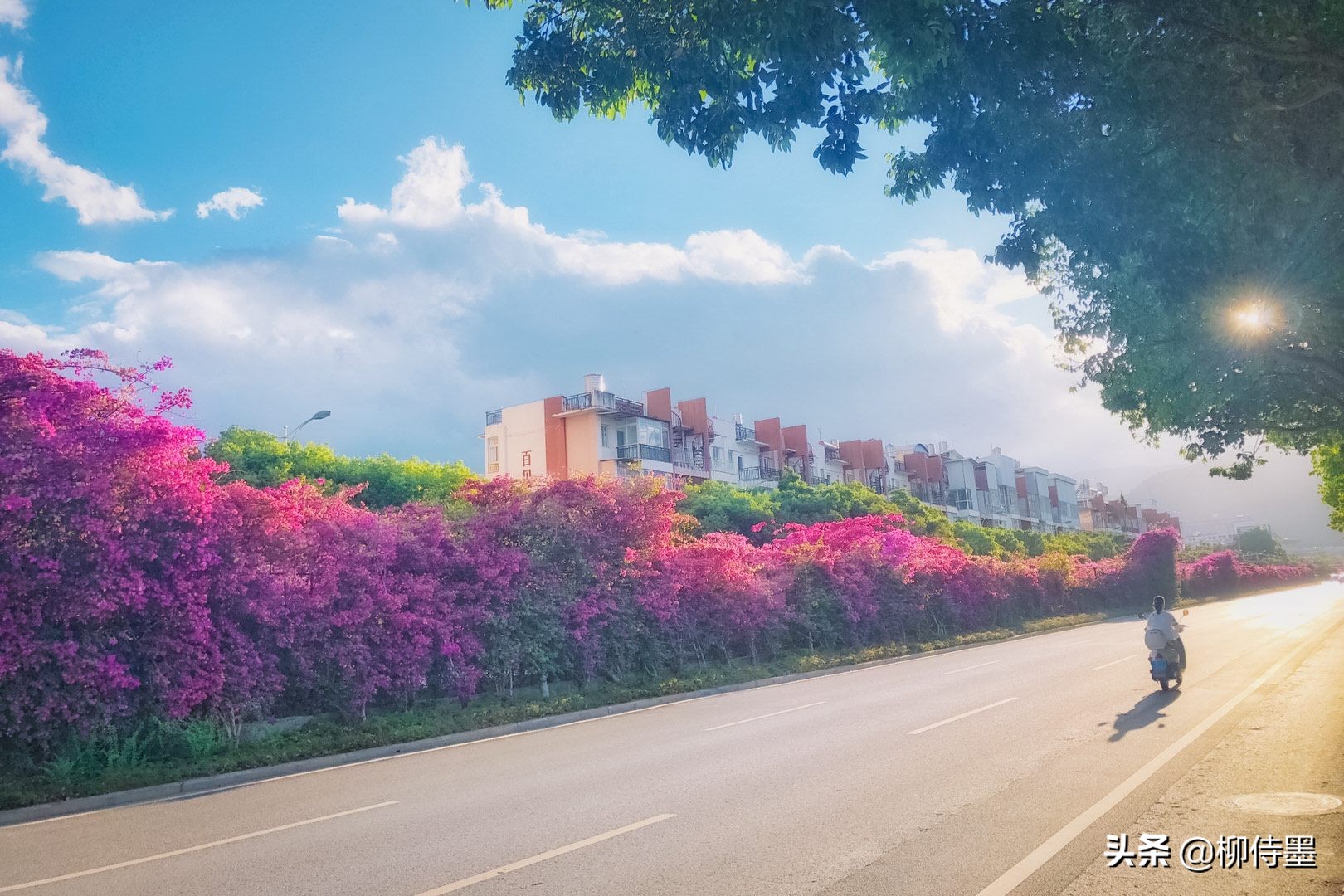如何用手机把风景照片变好看,手机为什么拍不出真实风景