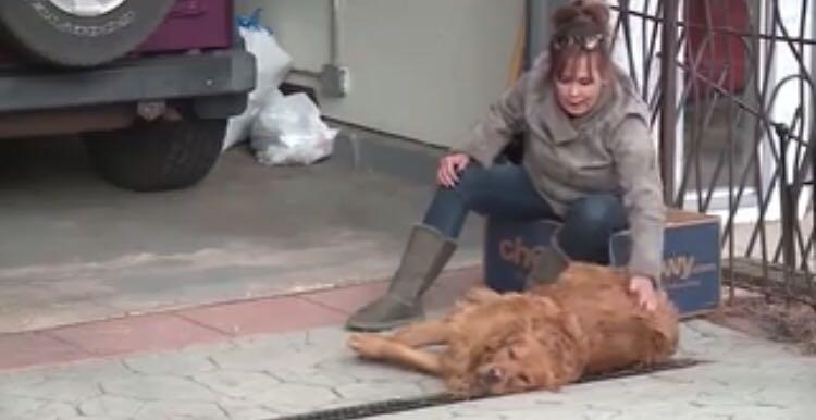 疫情无情人有情救助老人显真情,疫情无情人有情感谢邻居帮忙