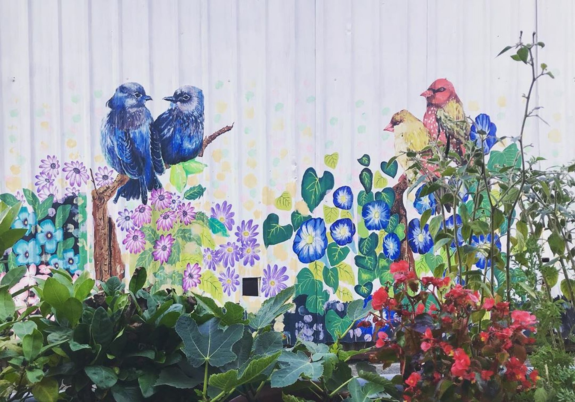 百年树屋，天空之镜，红砖市集，跳蚤市场…尽在锦田