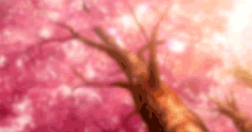 为什么要选择电信的套餐,为什么选择宽带账号上网