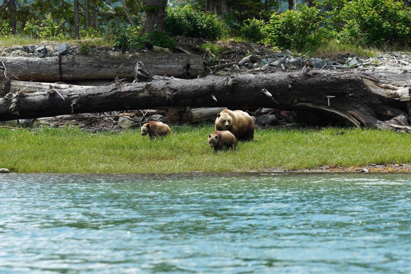 旅居生活攻略,旅居生活最适合的城市