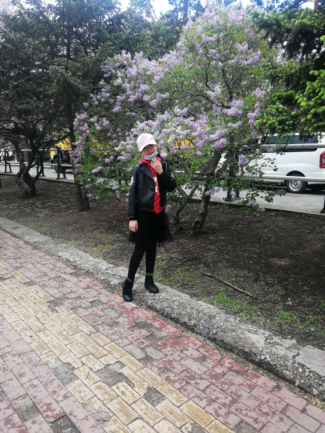 创意作文优秀范文,新鹬蚌相争作文