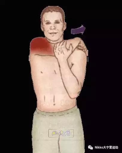 怎么减掉斜方肌变成一字肩,女人天鹅颈怎么练出来