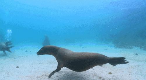 100个梦幻乐园,超2000平的梦幻王国游乐场