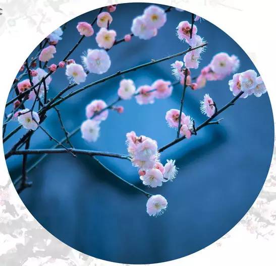 愚人节！来和孩子一起玩个猜成语游戏吧！