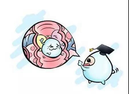 乳糖不耐受宝宝建议选择羊奶粉,乳糖不耐受为什么适合喝羊奶粉