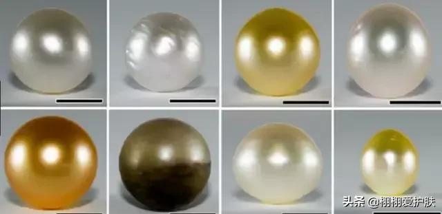 珍珠粉美白的原理,珍珠粉可以美白淡斑吗