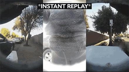 来美国五个月丢了10件快递,美国网购每天运送150万个包裹