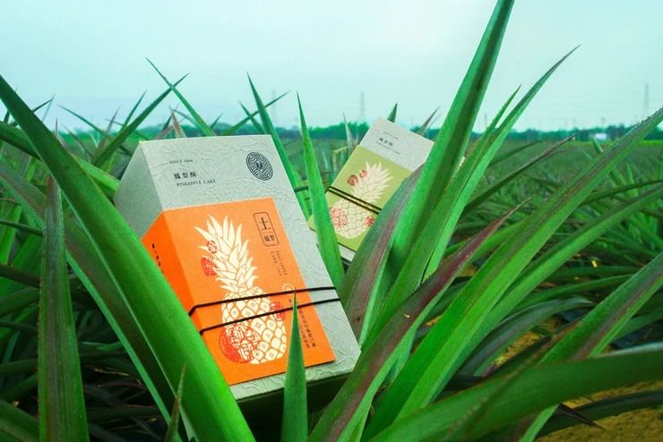 台湾老牌明星整容,台湾老牌整容变性丑艺人