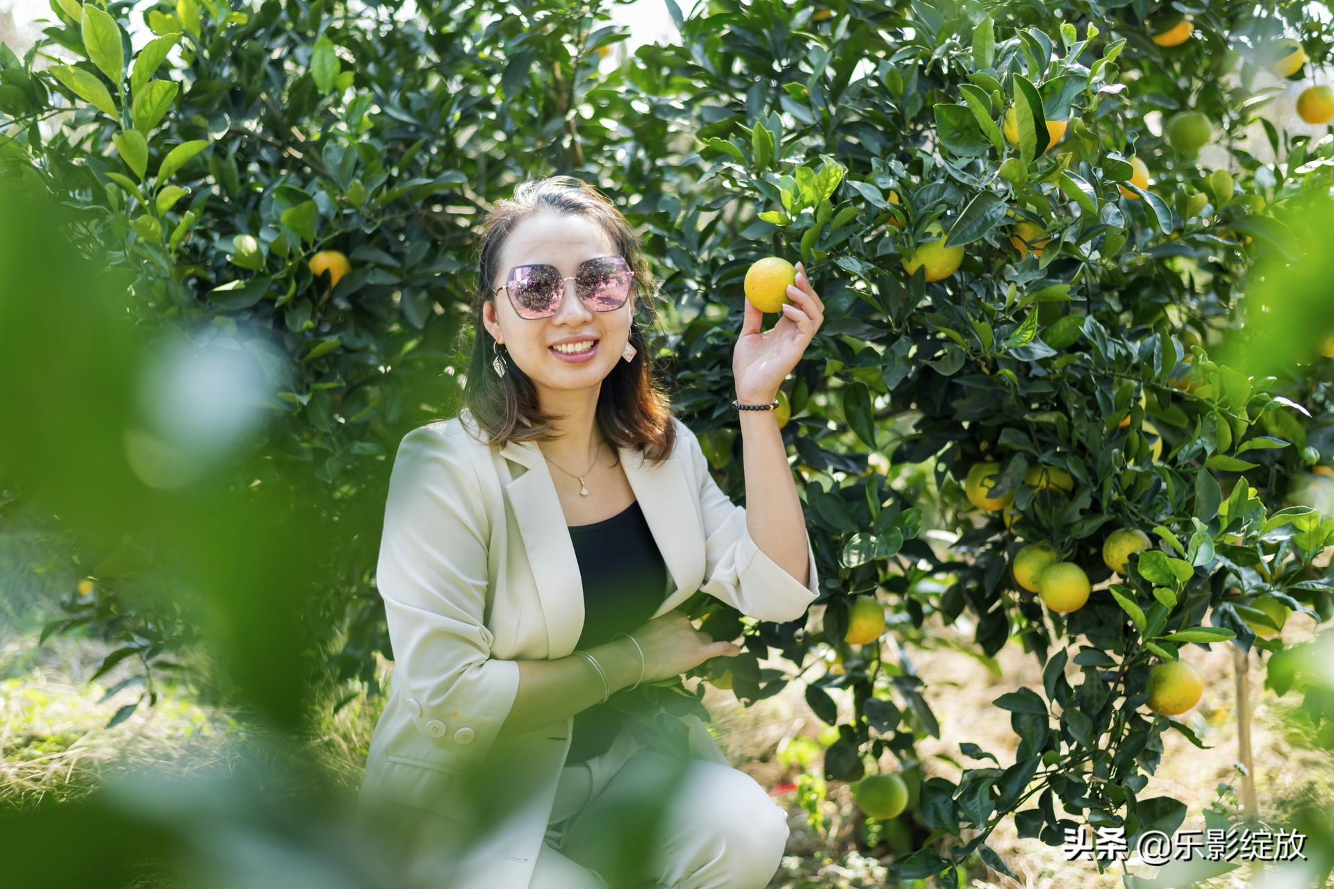 带小花狗去野外生存,带着小花去兜风