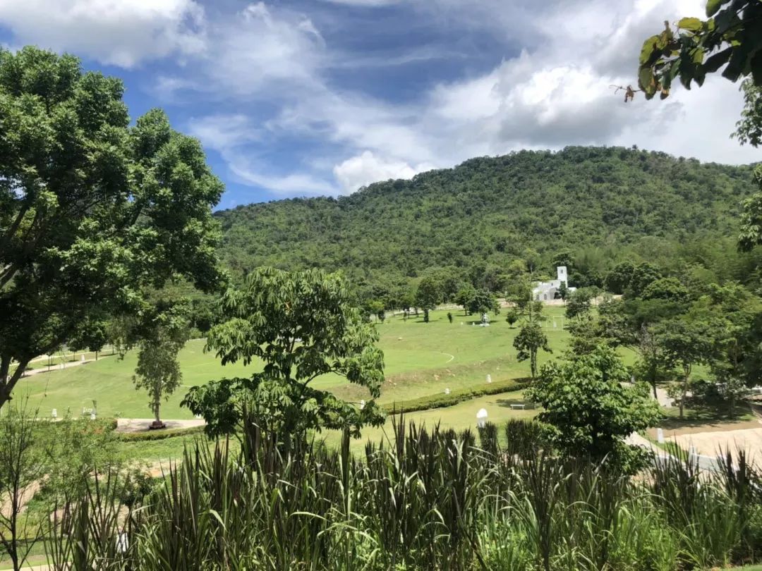 为什么泰国不能开夜车,在泰国开车的体验