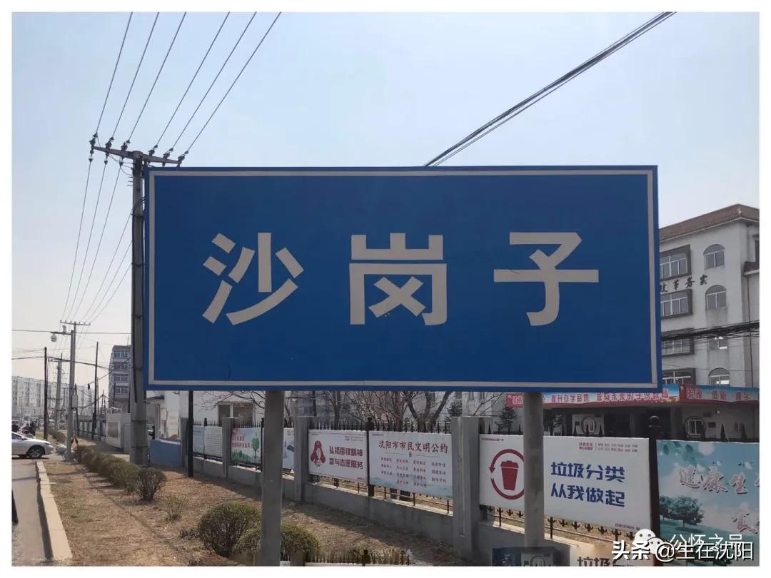 沈阳回忆,沈阳兴华实验学校回忆录