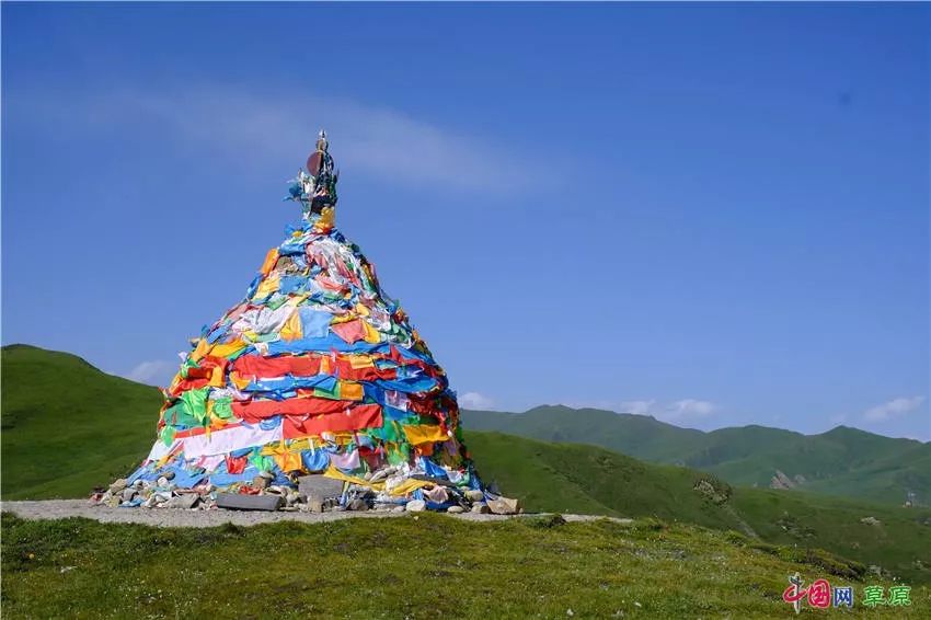 大梅看草原丨盛夏的甘南玛曲，美得脱俗惊艳