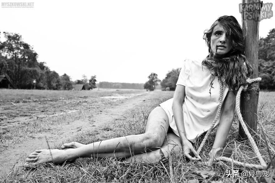 当宠物生病治疗费用太高,宠物生病治疗费有多昂贵