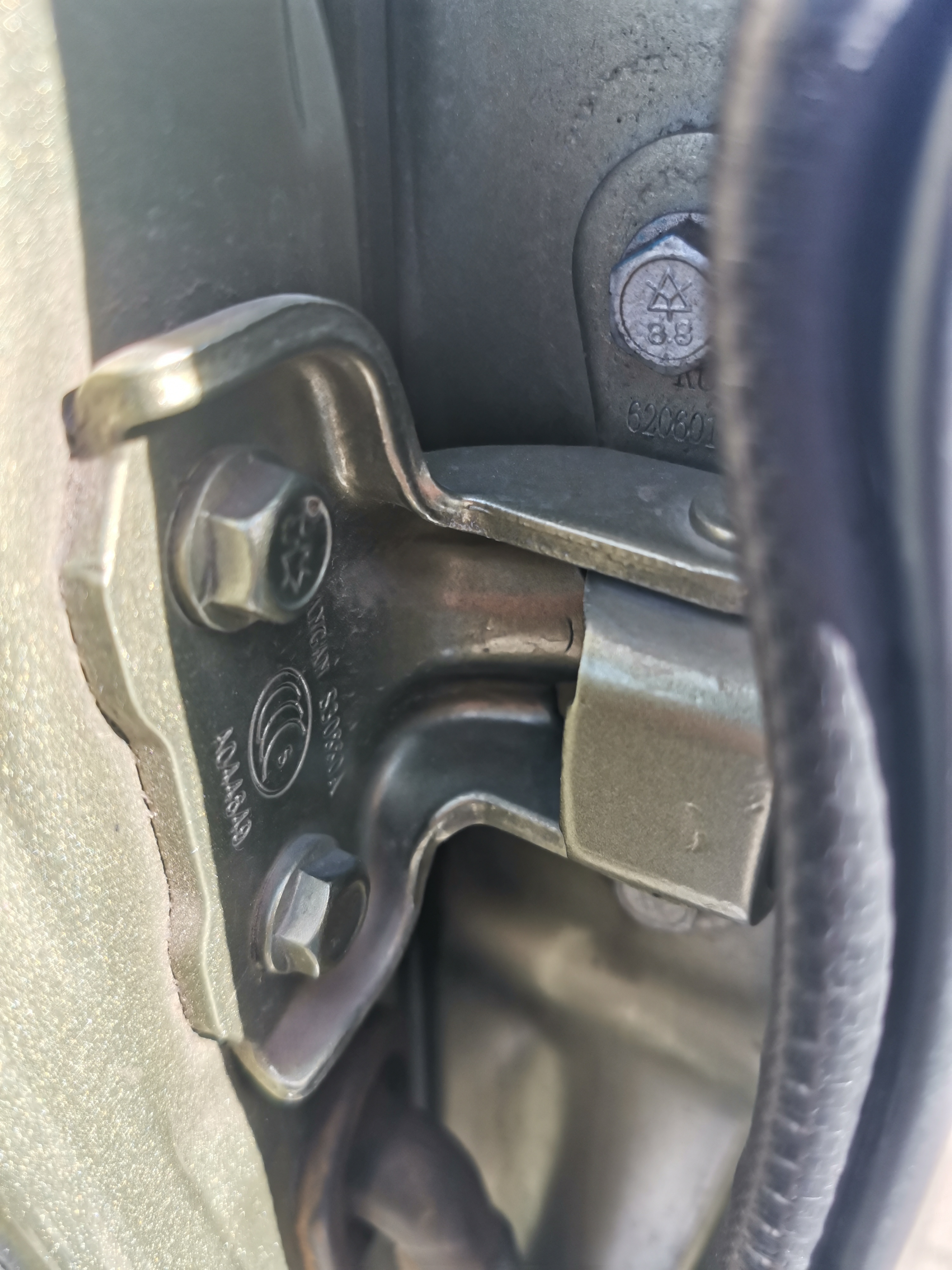 新奇好玩的公园,西青郊野公园开放最新通知