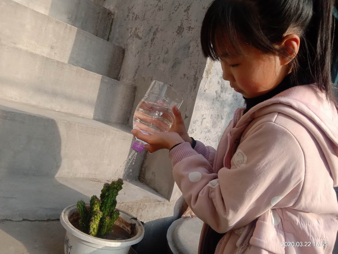 世界水日教育活动简讯,世界水日小学活动