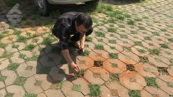 红火蚁咬到人死亡事件,红火蚁出没村民被咬出现休克