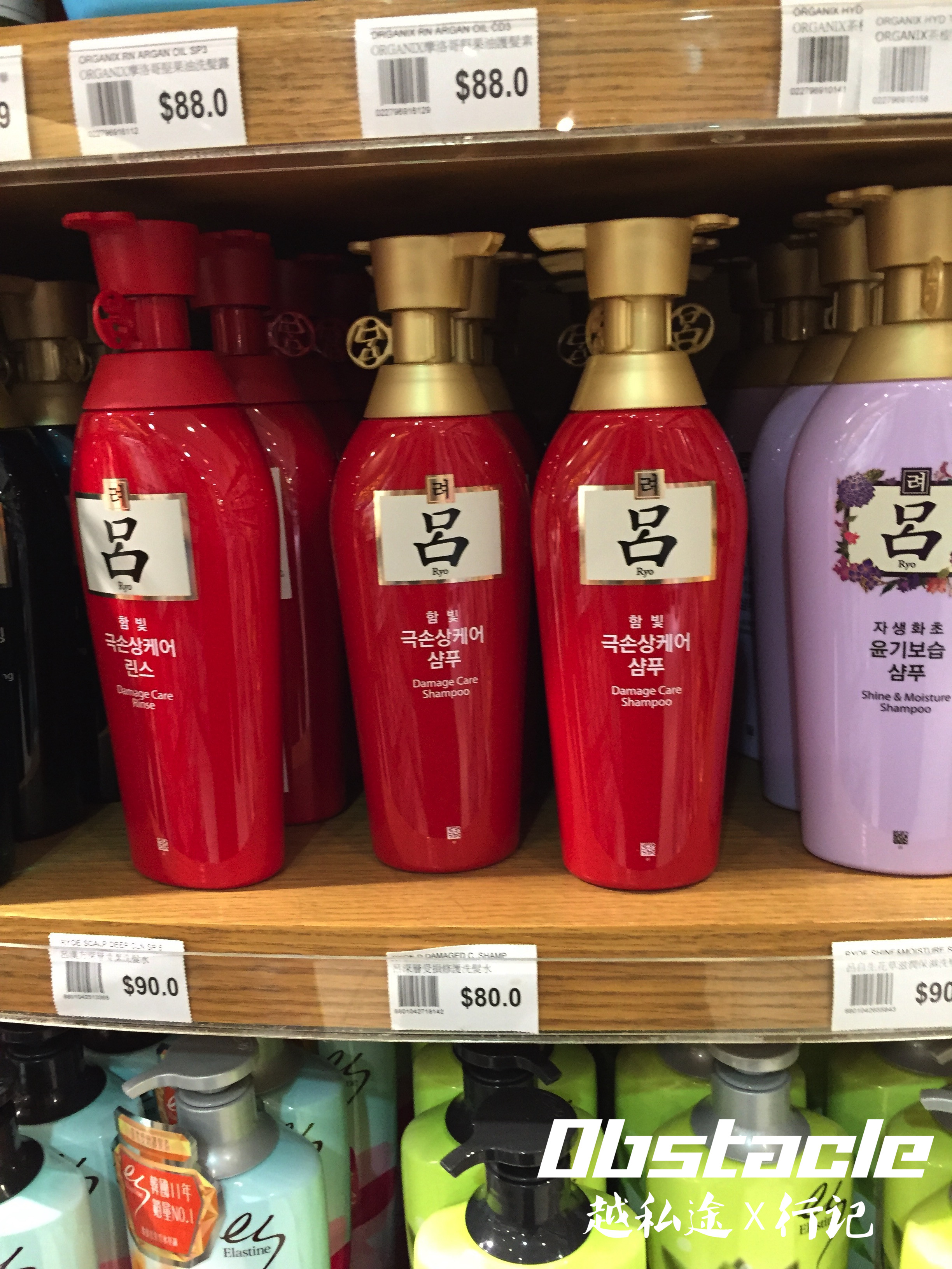 沙田打卡之旅(上编)