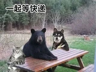 听说您的快递正在派送中,您的快递已燃烧