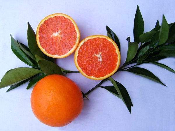 重庆主城区对其他区看法,重庆区县和主城旅游区别