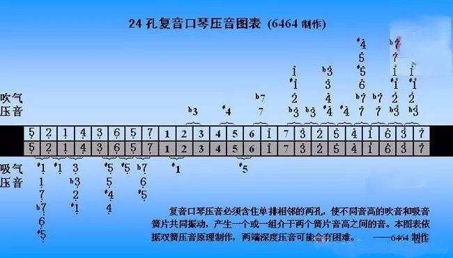 国光口琴24孔复音c调多少钱,24孔复音口琴的基本方法和技巧
