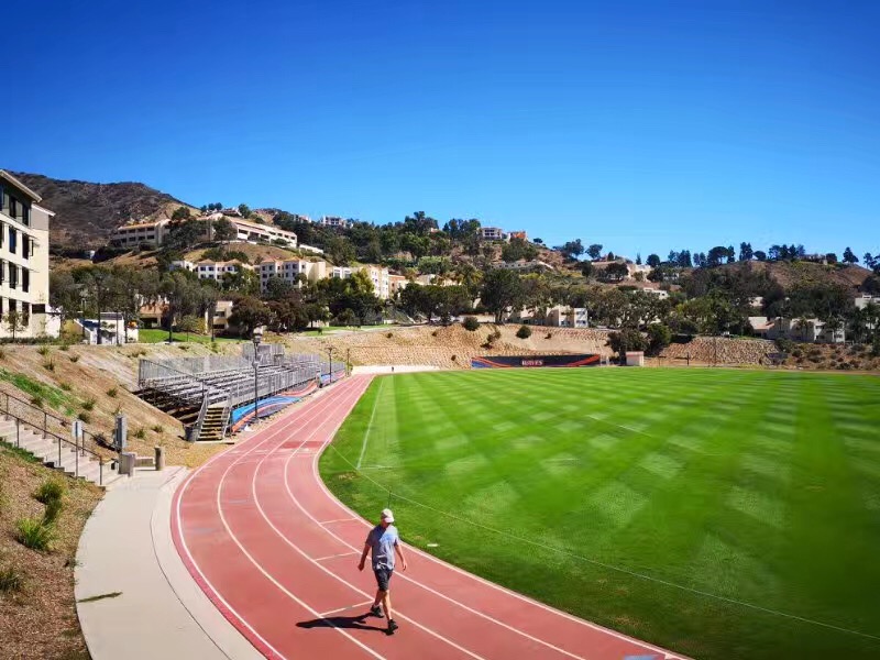 备受推崇的密歇根州立大学到底是什么样的？