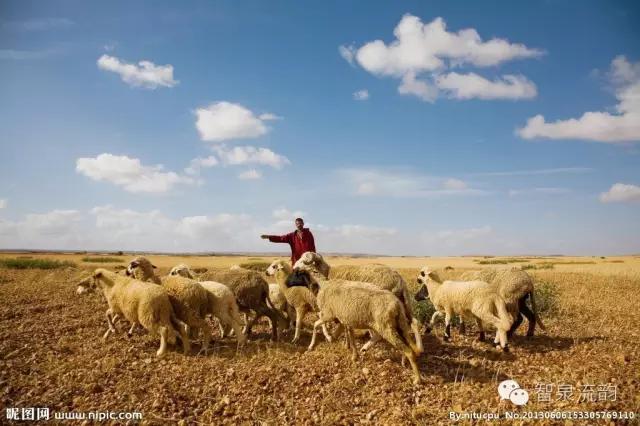 屈江北｜从放羊娃到作家