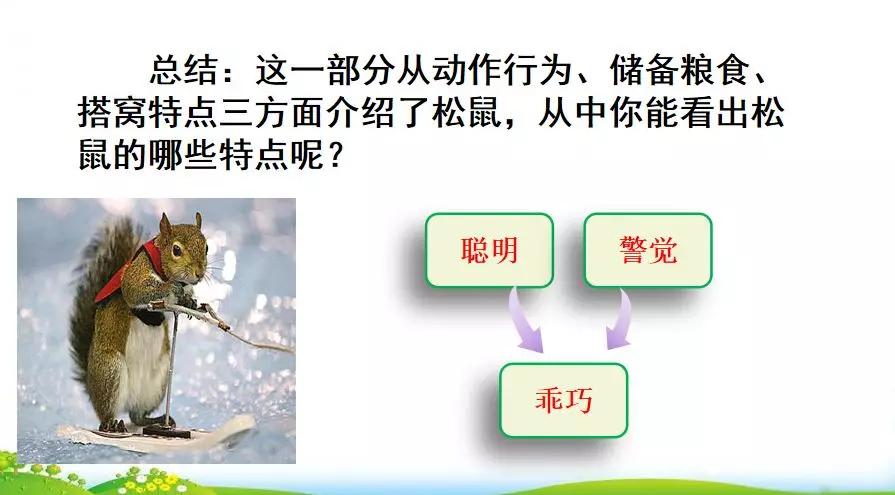 五年级语文第17课松鼠讲解,五年级上册第17课松鼠教材详解