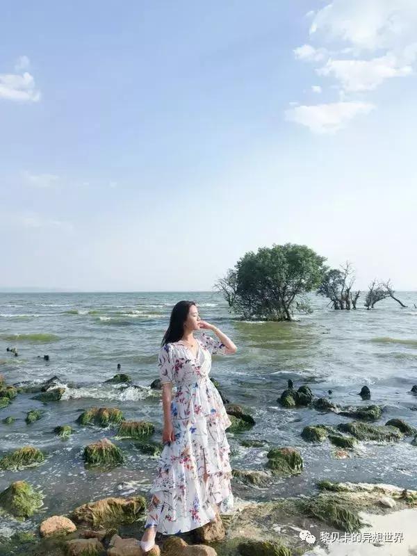 她们穿的连衣裙,她们穿的花裙子