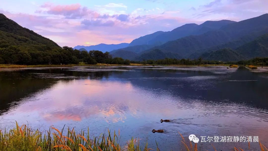 神农架大九湖这实在是太美了,神农架大九湖天空之镜