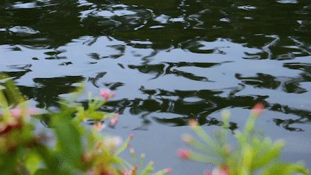 深圳好玩景点地铁路线,深圳好玩免费景点地铁直达的