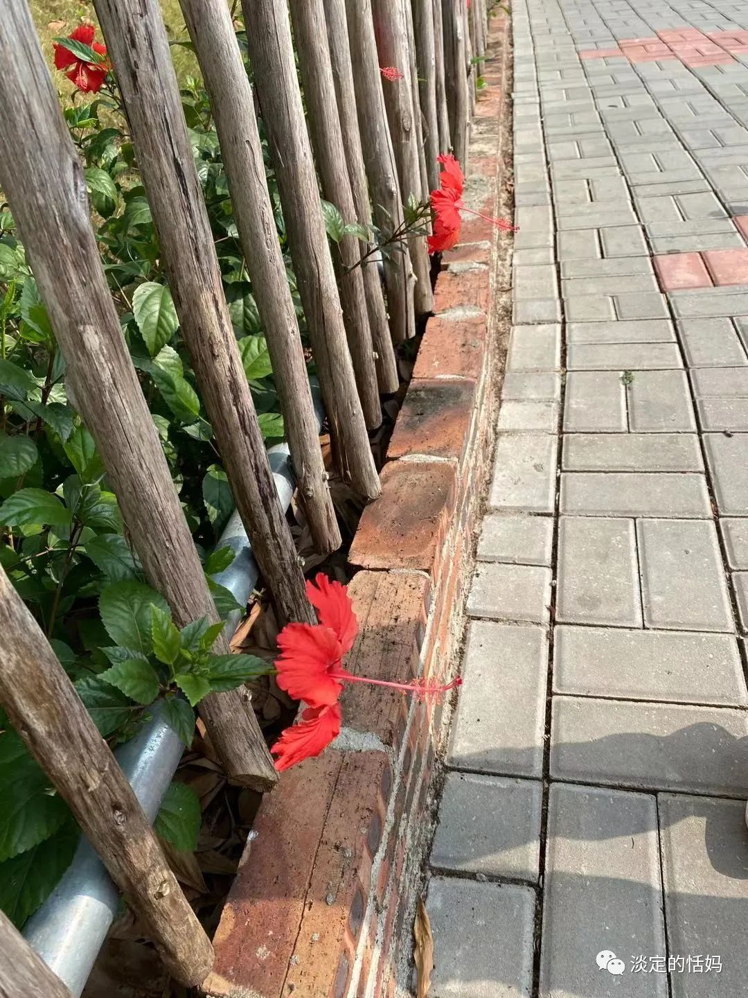 一边修脚一边讲故事,开口学古诗