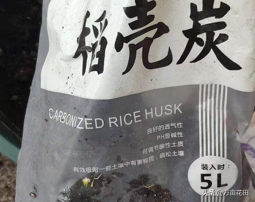 稻壳炭放在花土上面能防虫吗,稻壳炭和发酵稻壳什么区别