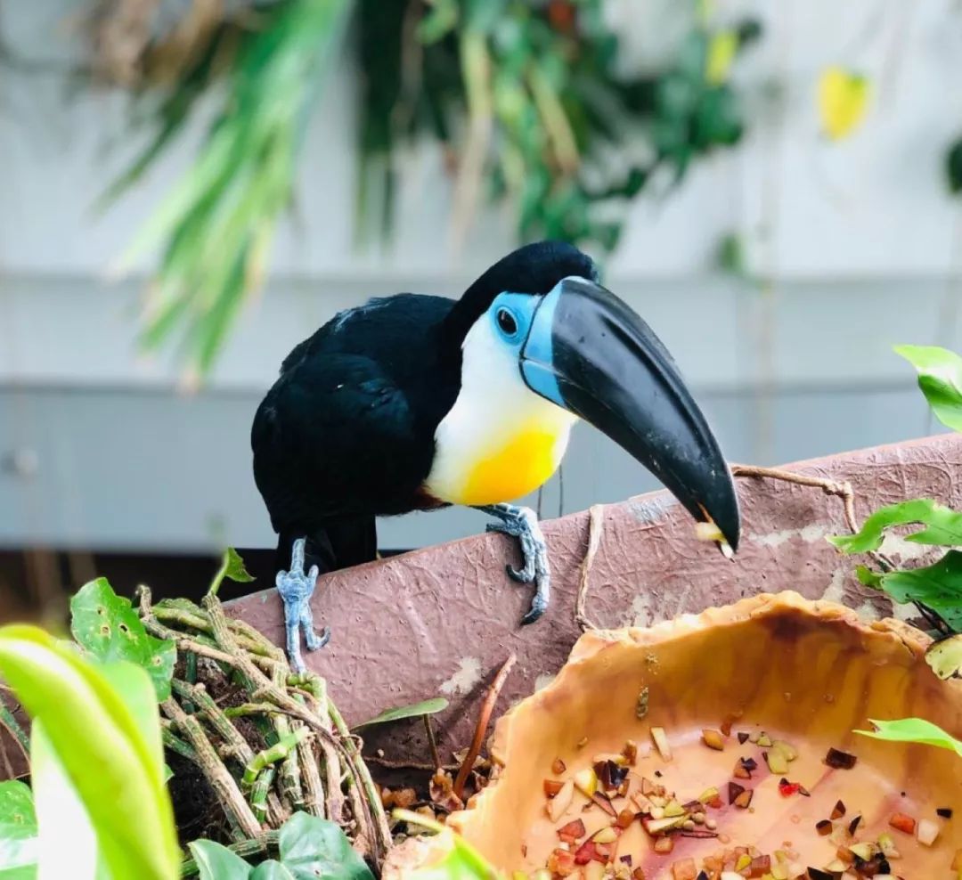 十个小时玩转迪拜,玩转迪拜与阿布扎比