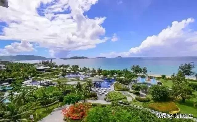 带宠物住宿酒店,带宠旅行酒店