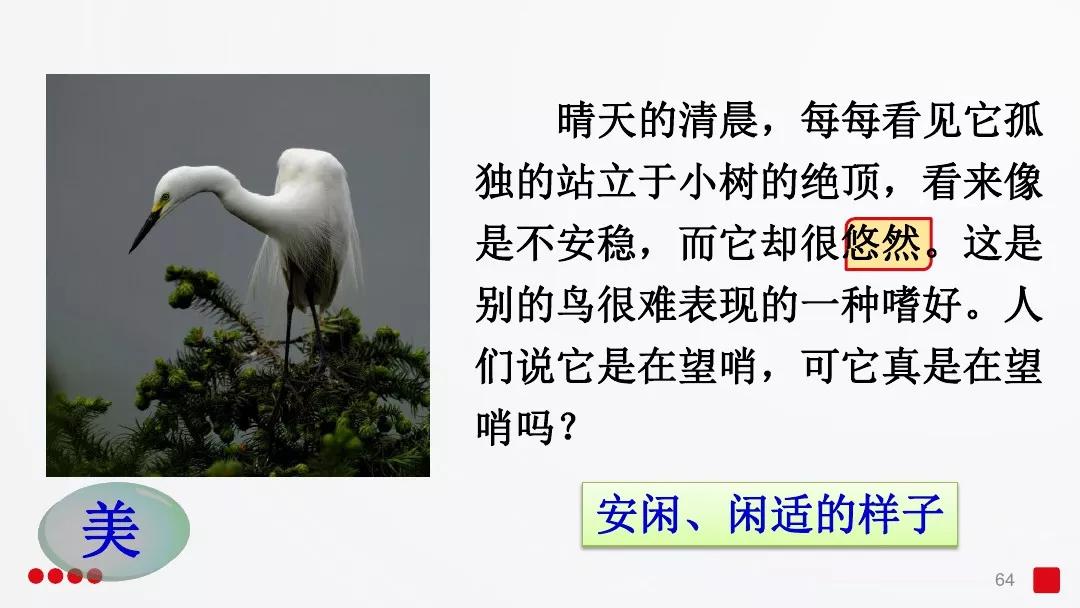 五年级部编版语文白鹭讲课视频,部编小学语文五年级上册白鹭课件