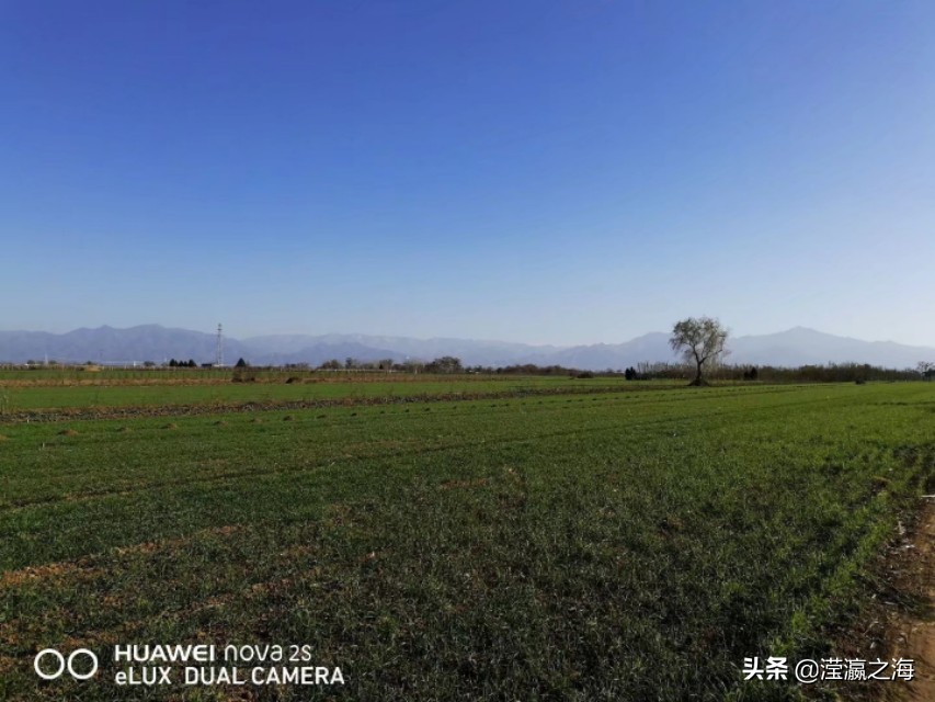 我和我的同桌,同桌的青春年华