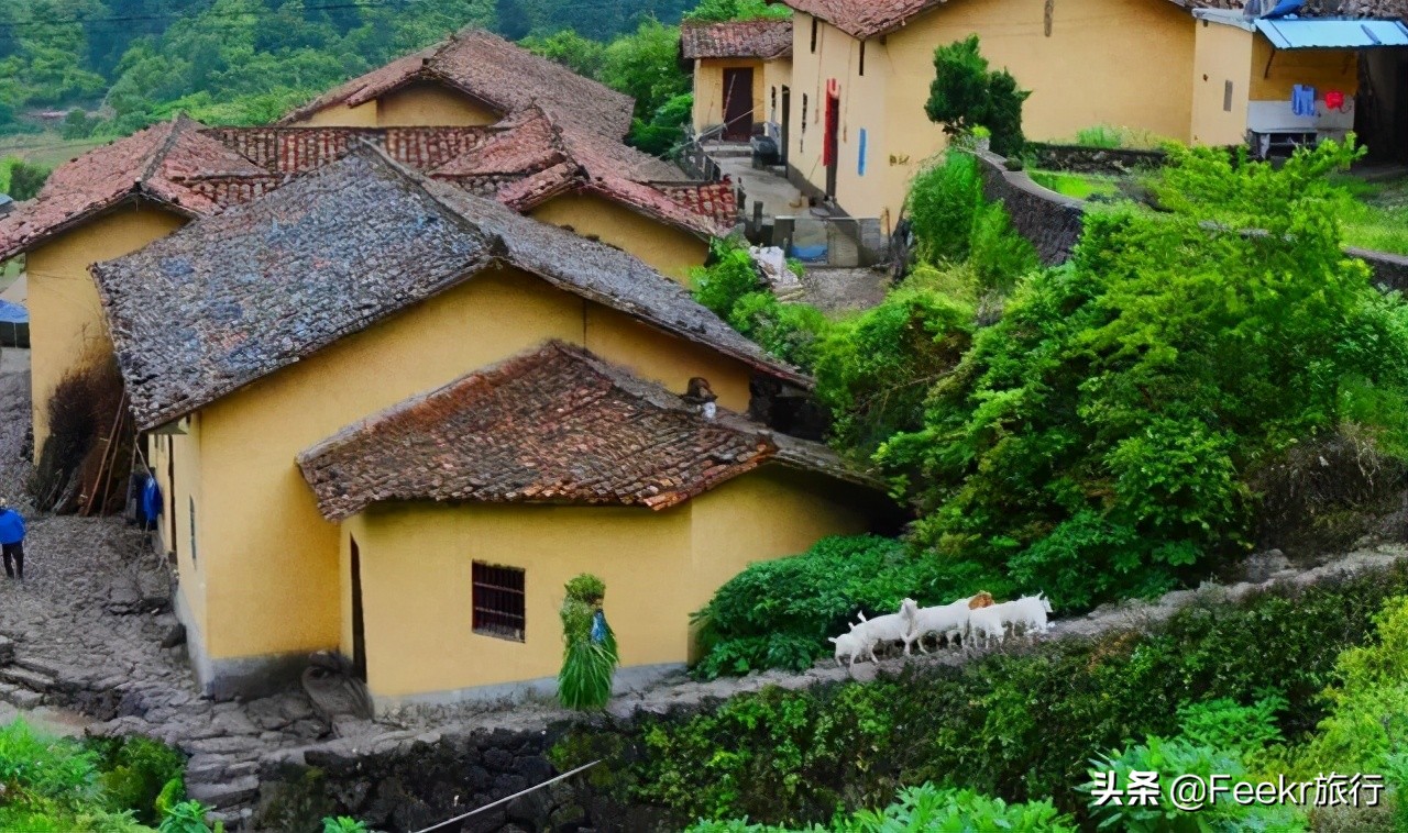 杭州自驾露营三日游,杭州三日游自驾最佳方案