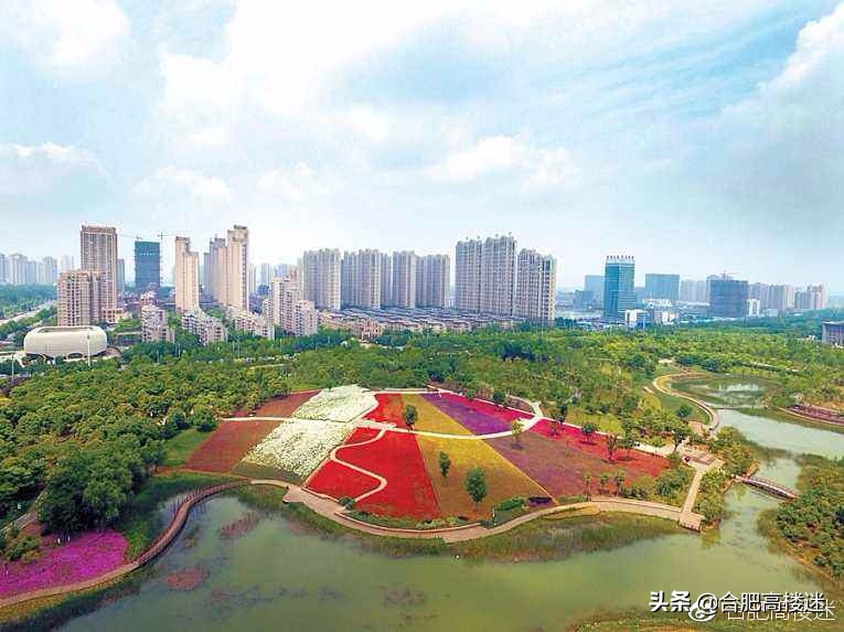 合肥五一旅游景点攻略大全,五一假期合肥旅游人气爆棚