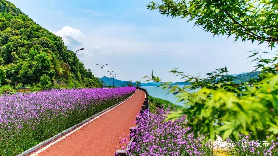 淳安郭村瀛山书院,浙江淳安姜家郭村瀛山书院