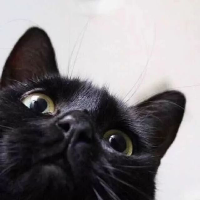 美容药有哪些,最好的万能美容药