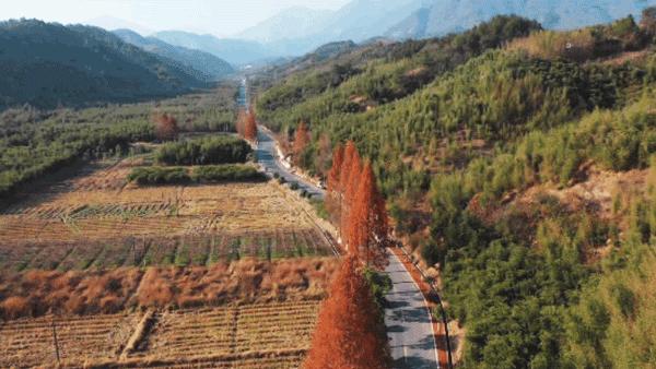 20w祖宅翻新改造,杭州翻新祖宅获奖