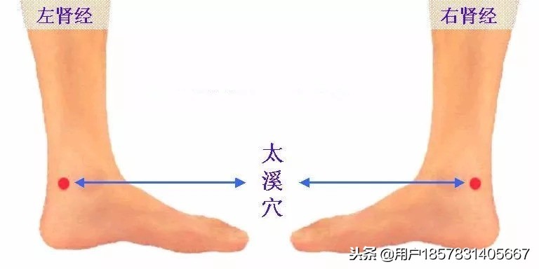 肾虚就乱吃补肾药小心越补越虚,吃补肾的药感觉越补越虚